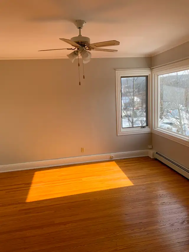 10 Albany St - Photo 11