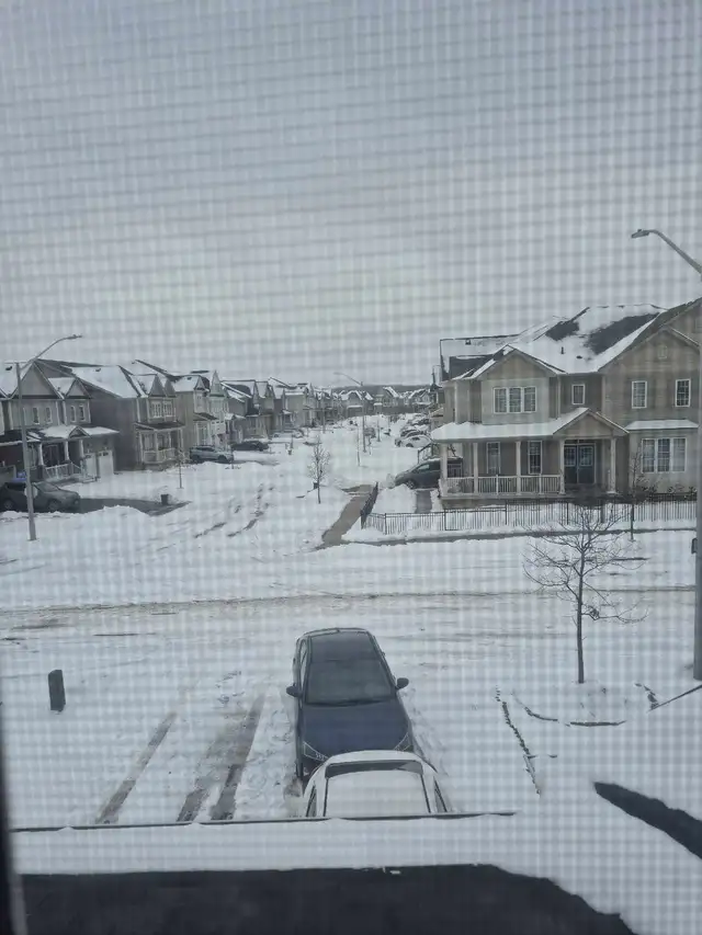 Help Wanted: Mover (Cash Job)