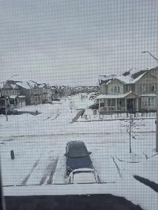 Help Wanted: Mover (Cash Job)