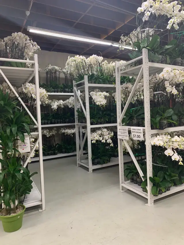 Heavy Duty Steel Shelving for RENT-Events, Warehouses - Photo 7