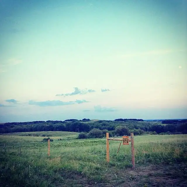 Pasture available - Photo 3