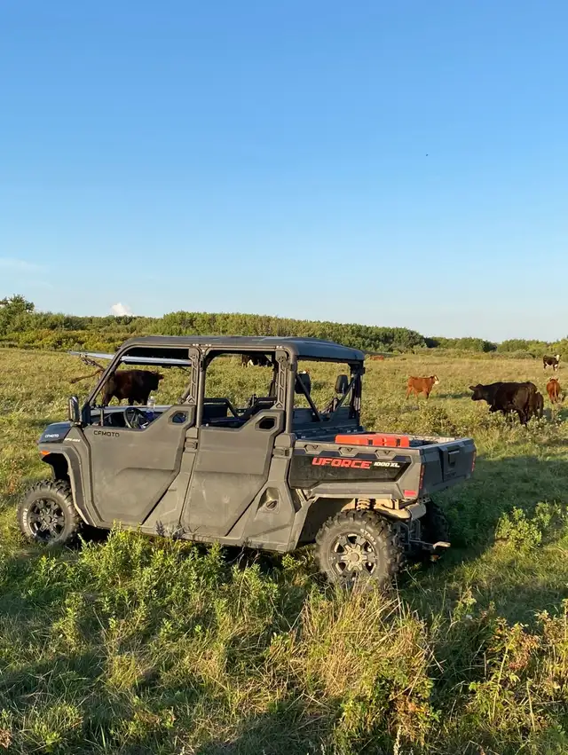 Pasture available - Photo 4