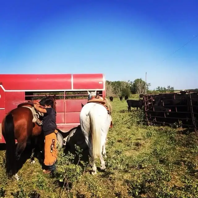 Pasture available - Photo 7