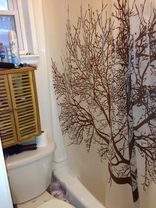 1 Bedroom Queen's apartment for MAY - Photo 2