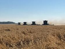 Farm Machinery Operator