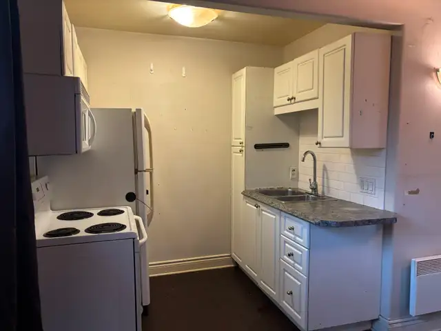 Bachelor Apartment - Photo 3