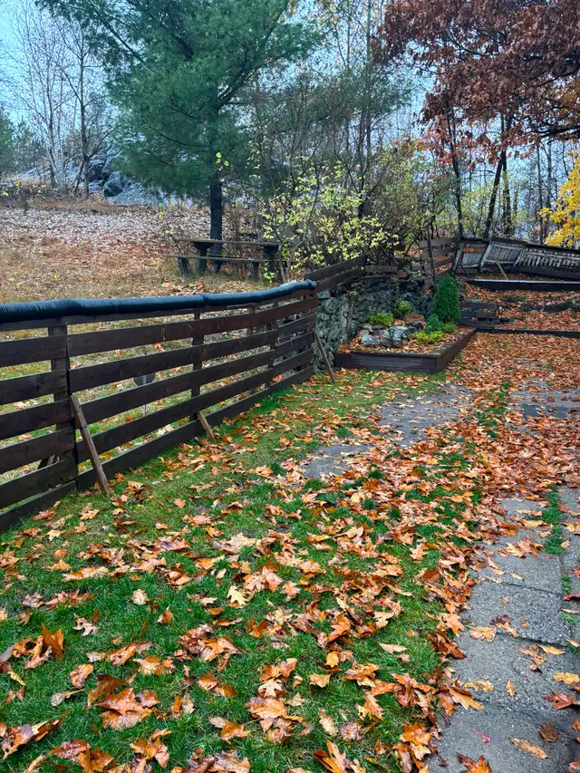 Bachelor Apartment - Photo 5