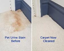 Carpet Steam Cleaning - Photo 3