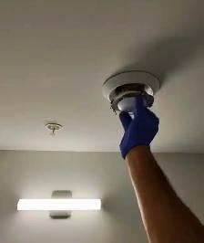 Carpet Steam Cleaning - Photo 7