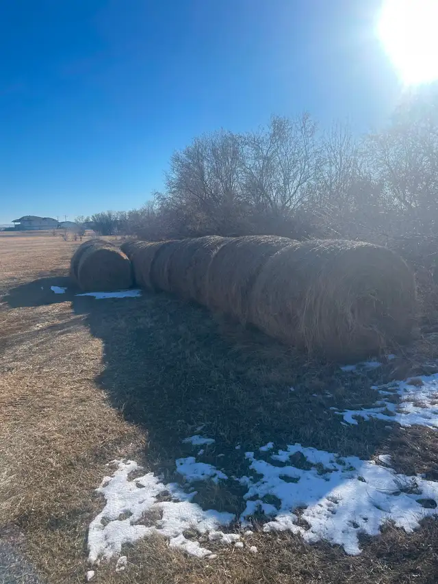 Hay for sale