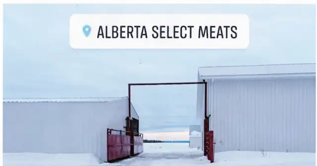 Provincially Inspected Abattoir (Beef, Bison & Pork Kill Floor)
