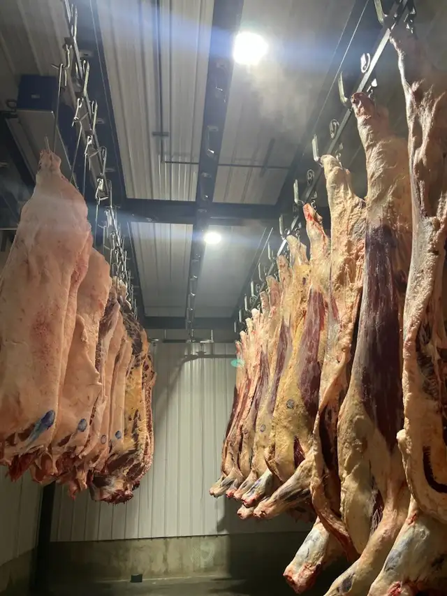 Provincially Inspected Abattoir (Beef, Bison & Pork Kill Floor) - Photo 3