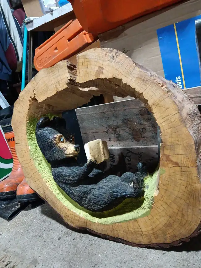 Chainsaw carving(1piece) Bear reading book. Spruce 22wx19hx6d.