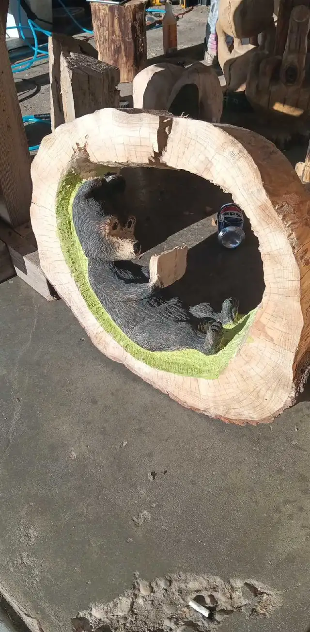 Chainsaw carving(1piece) Bear reading book. Spruce 22wx19hx6d. - Photo 2