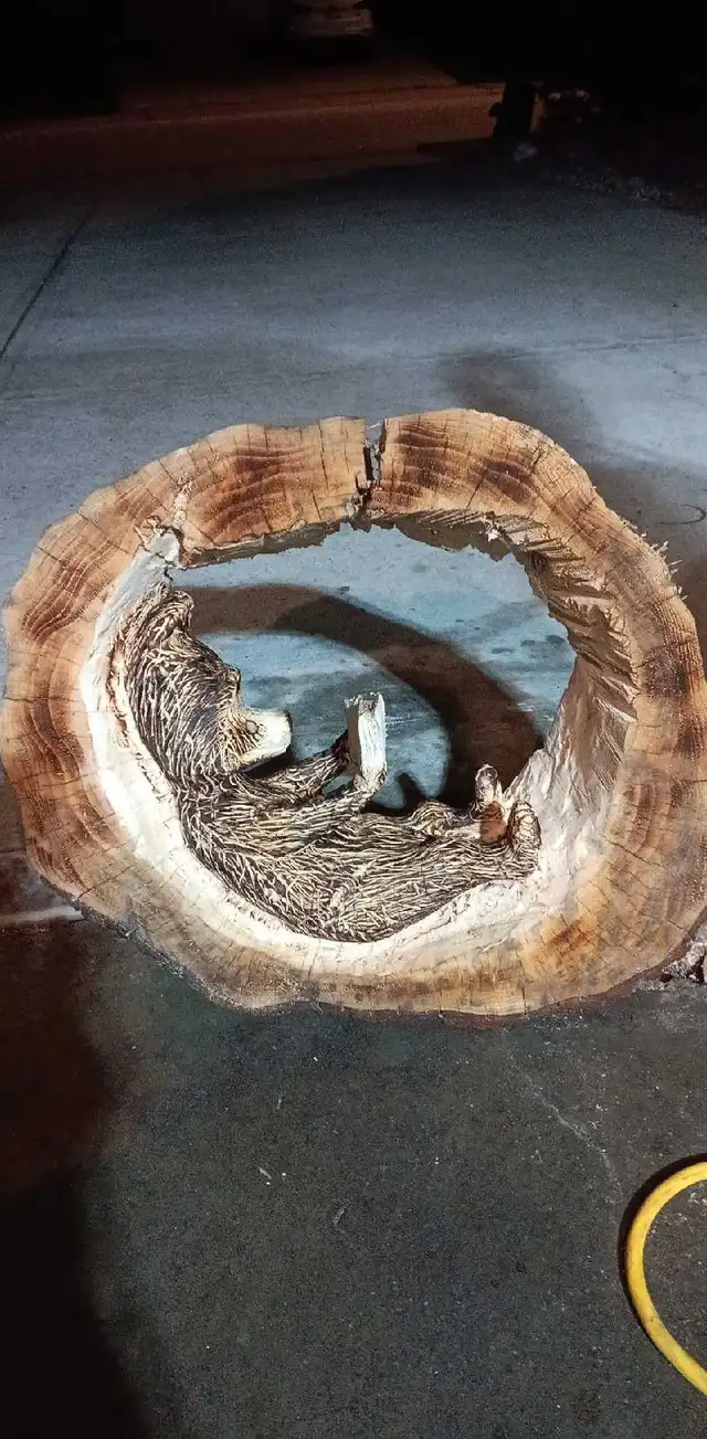 Chainsaw carving(1piece) Bear reading book. Spruce 22wx19hx6d. - Photo 4