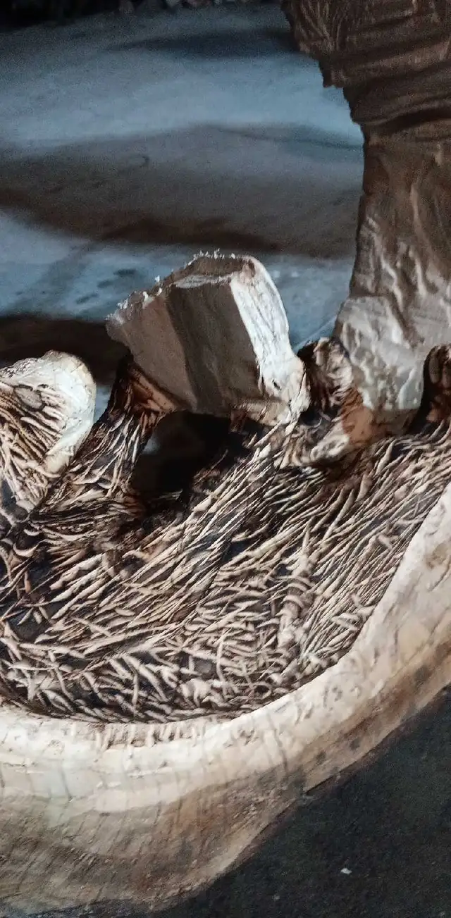 Chainsaw carving(1piece) Bear reading book. Spruce 22wx19hx6d. - Photo 5