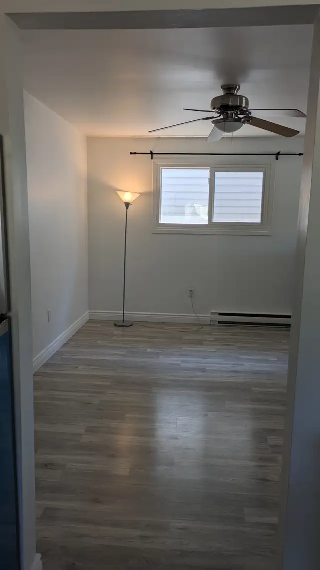 Laundry, Parking Large Apartment in Downtown Woodfield - Photo 7