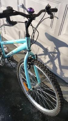 Ladies Bicycle - Photo 3