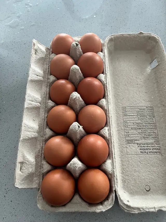 Farm fresh eggs