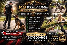 Professional Dog Training – Serving All of York Region