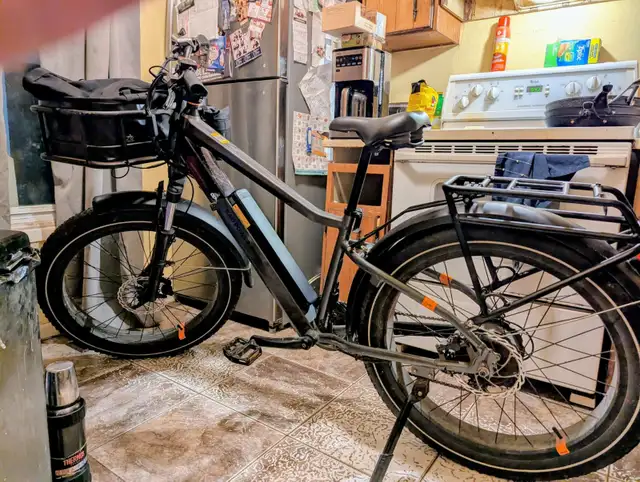 Radrover 6 plus electric assist needs work(600 obo)