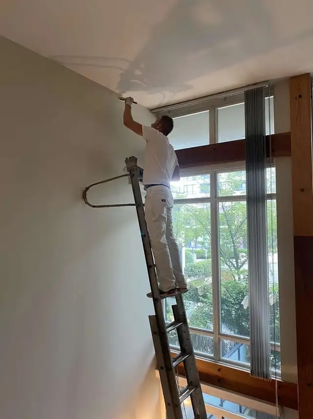 Professional Painter Painters Painting Renovation 647692.0562