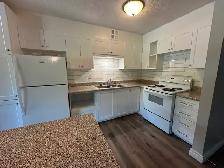Simcoe 2 Bedroom Apartment for Rent