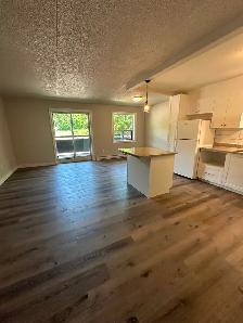 Simcoe 2 Bedroom Apartment for Rent - Photo 2