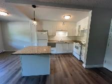 Simcoe 2 Bedroom Apartment for Rent - Photo 4