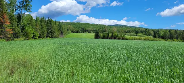 Terre à vendre, à Clermont dans la Région de Charlevoix. - Photo 3
