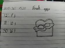 fresh eggs