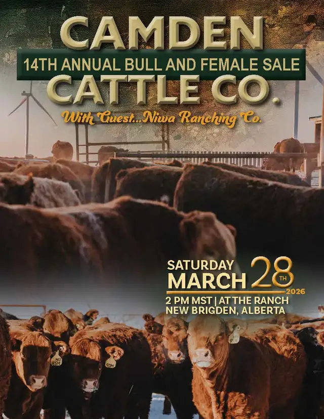 Camden Cattle Co 14th Annual Bull & Female Sale