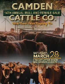 Camden Cattle Co 14th Annual Bull & Female Sale