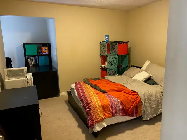 4 Bedroom 2 Bathroom Apartment  - Sandy Hill - Photo 10