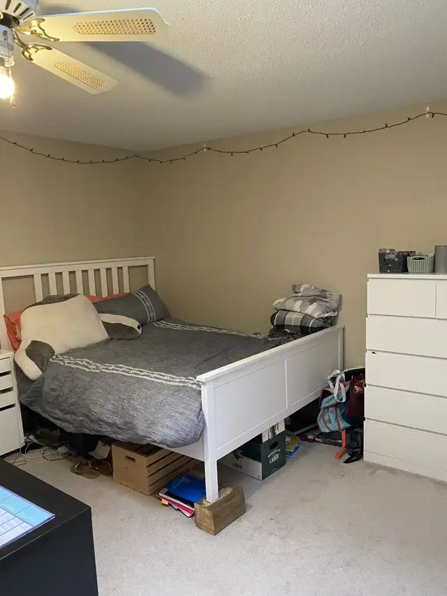 4 Bedroom 2 Bathroom Apartment  - Sandy Hill - Photo 11