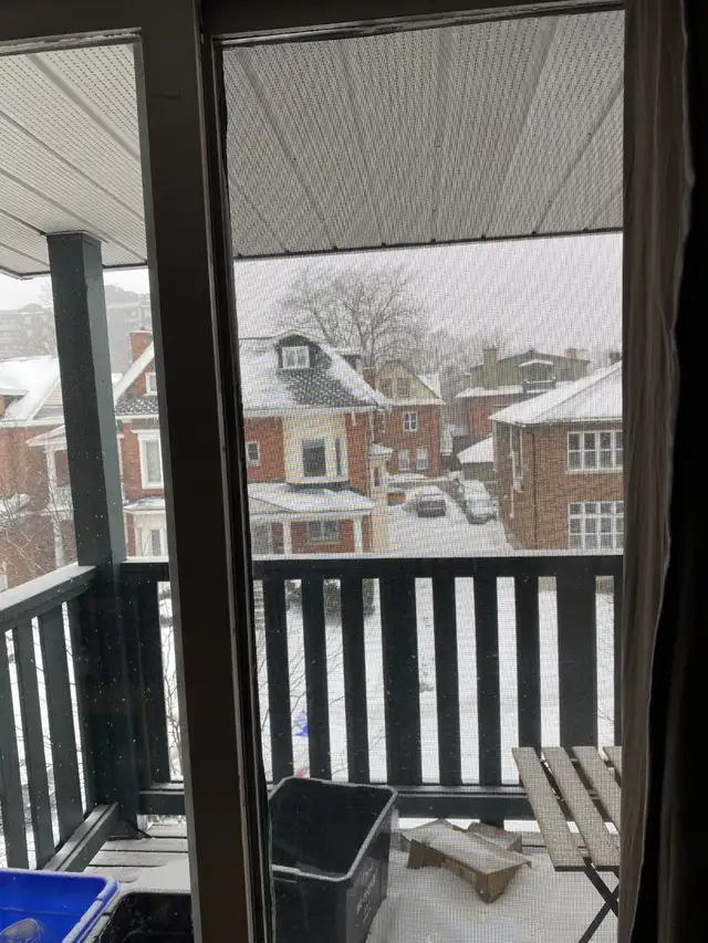 4 Bedroom 2 Bathroom Apartment  - Sandy Hill - Photo 12