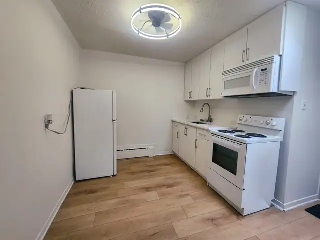 2 bedroom unit in downtown Kitchener $1600/M   Electricity - Photo 4