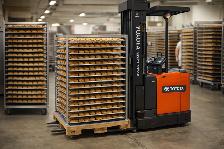 Forklift operator (Crown Reach&Dockstocker)