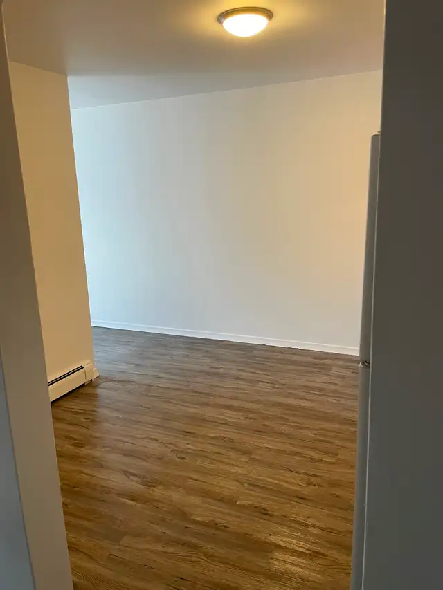 St Georges Park area 1 bedroom apartment - Photo 3