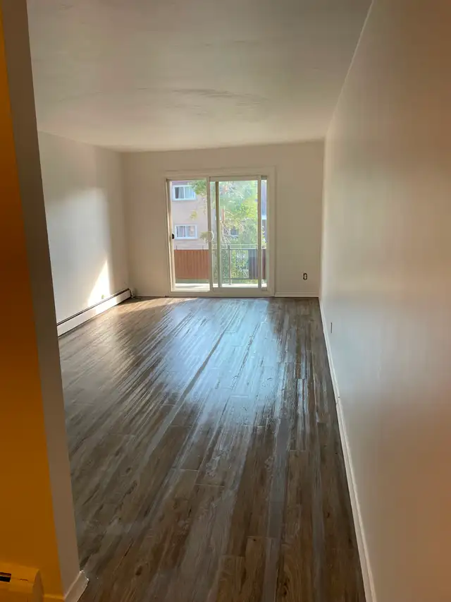 St Georges Park area 1 bedroom apartment - Photo 5