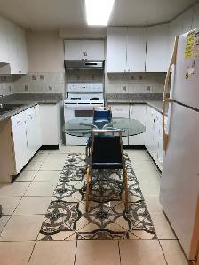 Gorgeous furnished one bedroom basement apartment in Brampton