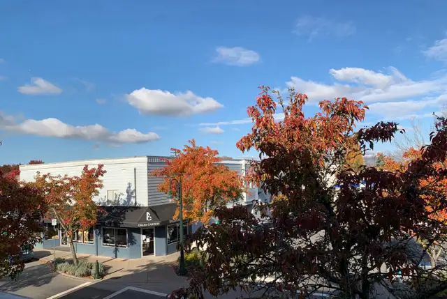 Spacious 2 Bedroom 2 Bathroom Apartment for Rent!