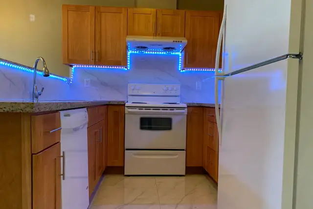 Spacious 2 Bedroom 2 Bathroom Apartment for Rent! - Photo 7