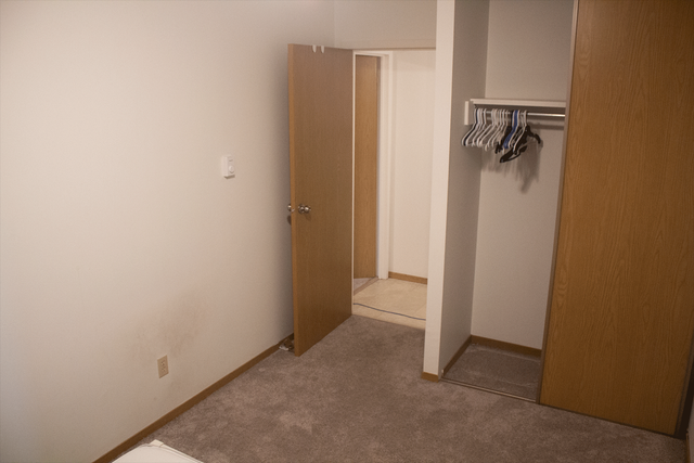 Roommate Wanted Downtown - Mar 1st/Apr 1st - Photo 3