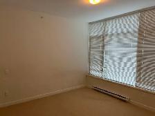 Beautiful 1bedroom in Coquitlam for rent - Photo 3