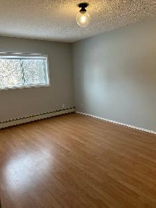 Selling Condo! 1175 Humbold, SK please text 306-320-1094. Thank - Photo 6