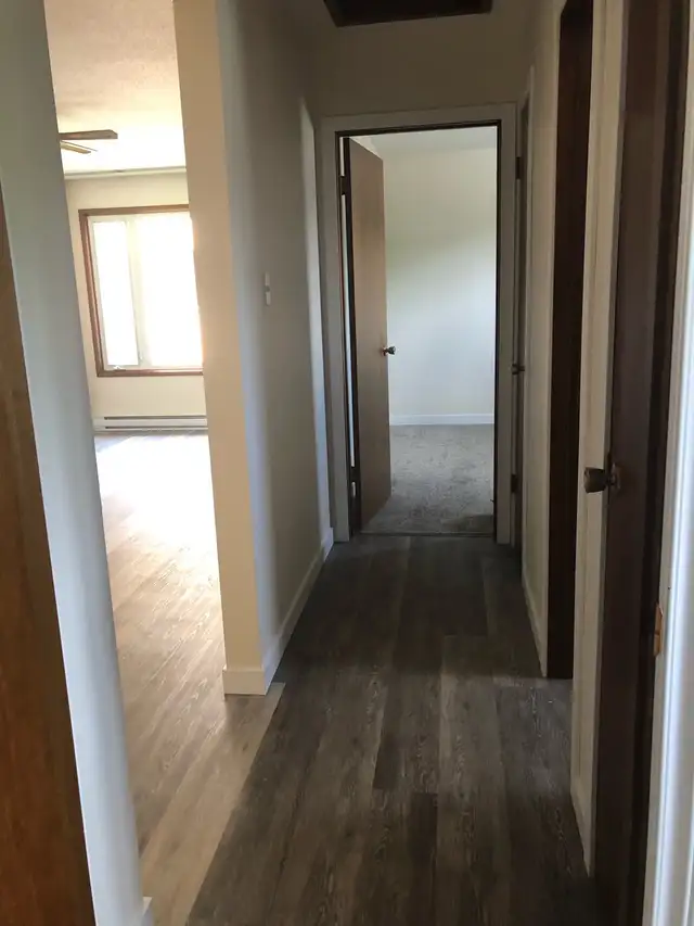 Cozy Spacious 2 Bdrm - Photo 7