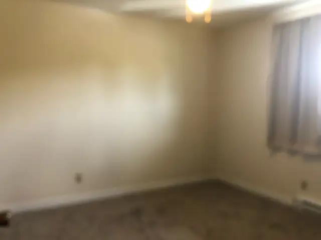 Cozy Spacious 2 Bdrm - Photo 8