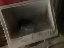 calf warmer/ water trough heater