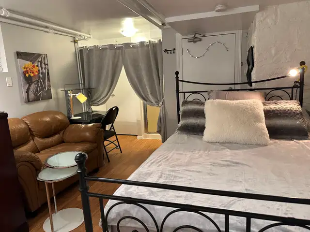 Ottawa Centretown–Tiny Heaven Furnished Basement Studio All Inc - Photo 2